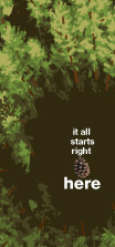 Informative pinecone/forest poster